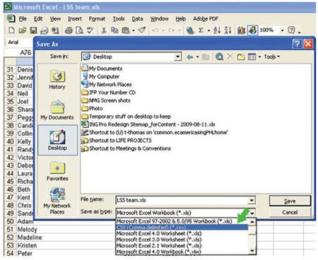 set your column headings in Excel